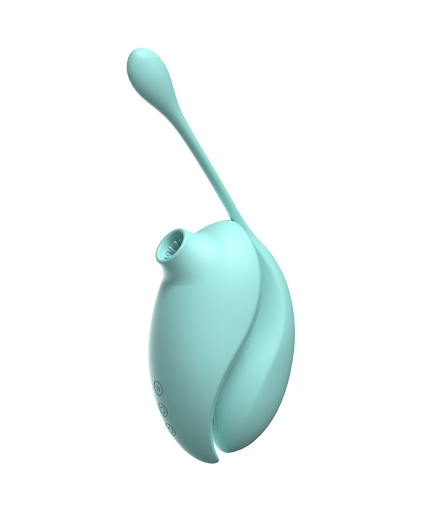 2en1 Stimulateur clitoridien à picots par aspiration avec son œuf vibrant à distance turquoise - 0-B0009TUR